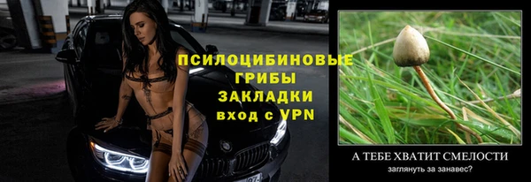 сатива Алексеевка