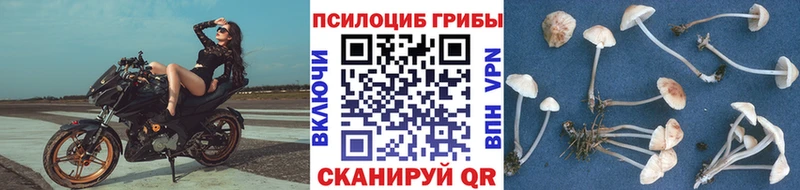 Галлюциногенные грибы мухоморы что такое наркотик Анива